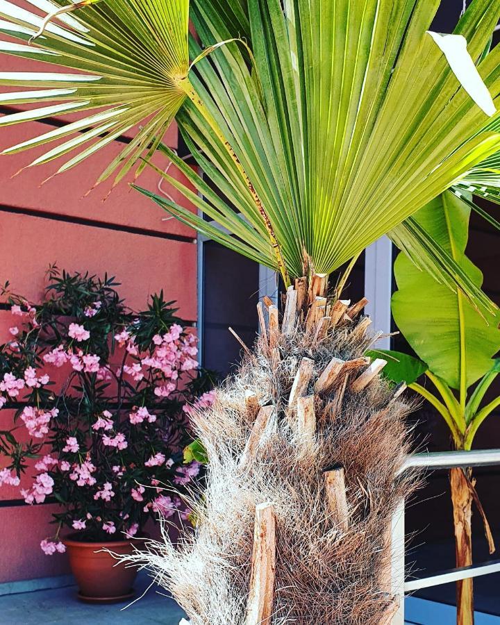 Apartament Cacao Residence Sunny Beach Exterior foto