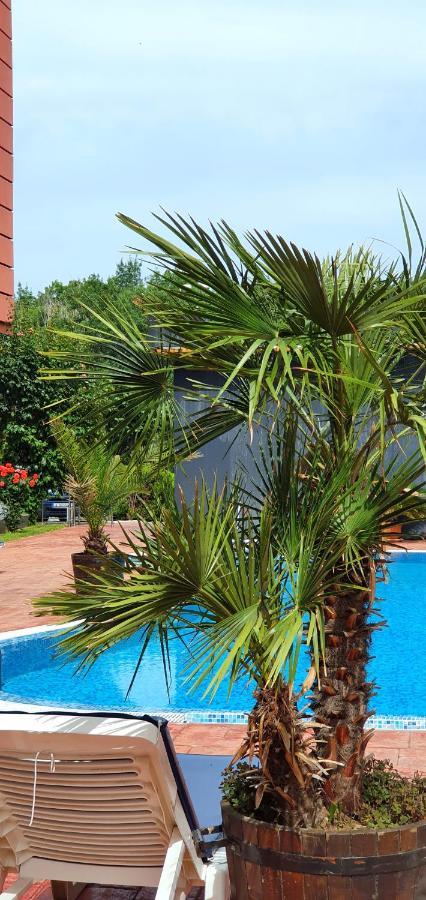 Apartament Cacao Residence Sunny Beach Exterior foto